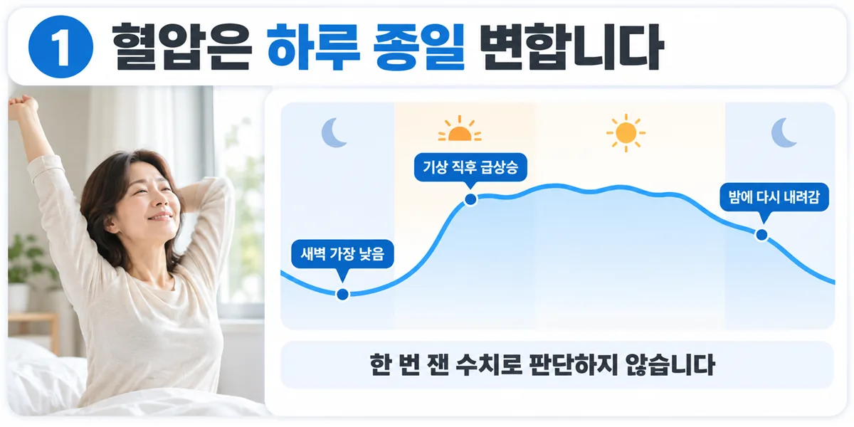 새벽에 가장 낮고 기상 직후 급상승했다가 밤에 다시 내려가는 하루 24시간 혈압 변동 곡선