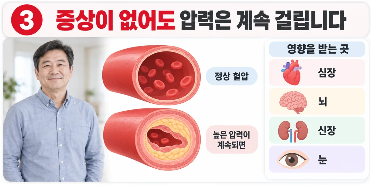 정상 혈관과 높은 압력이 계속돼 벽이 두꺼워진 혈관의 단면 비교, 그리고 영향을 받는 심장·뇌·신장·눈
