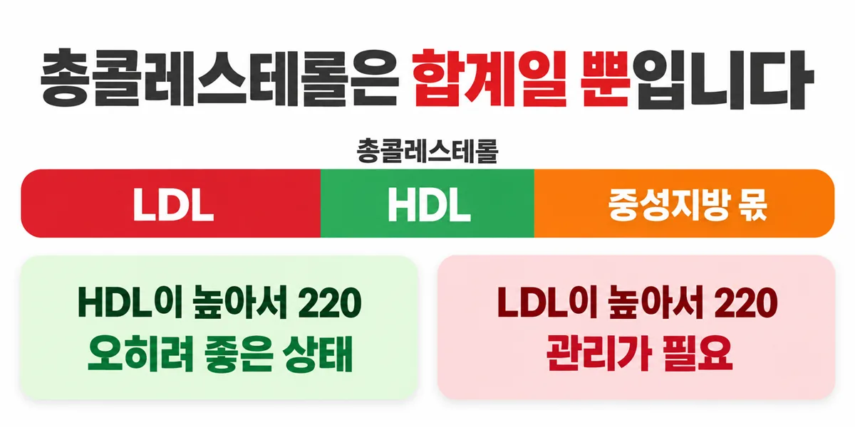 총콜레스테롤이 LDL과 HDL, 중성지방에서 온 몫으로 이루어진다는 구성 그림