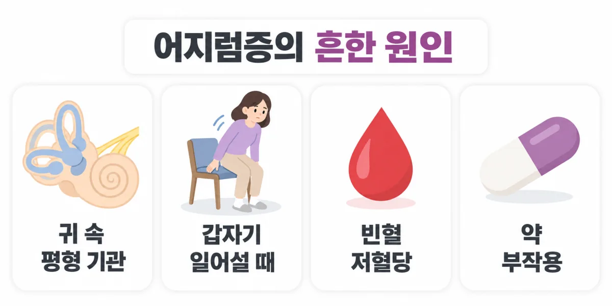 귀 속 평형 기관 문제, 갑자기 일어설 때의 혈압 저하, 빈혈과 저혈당, 약 부작용 등 어지럼증의 여러 원인