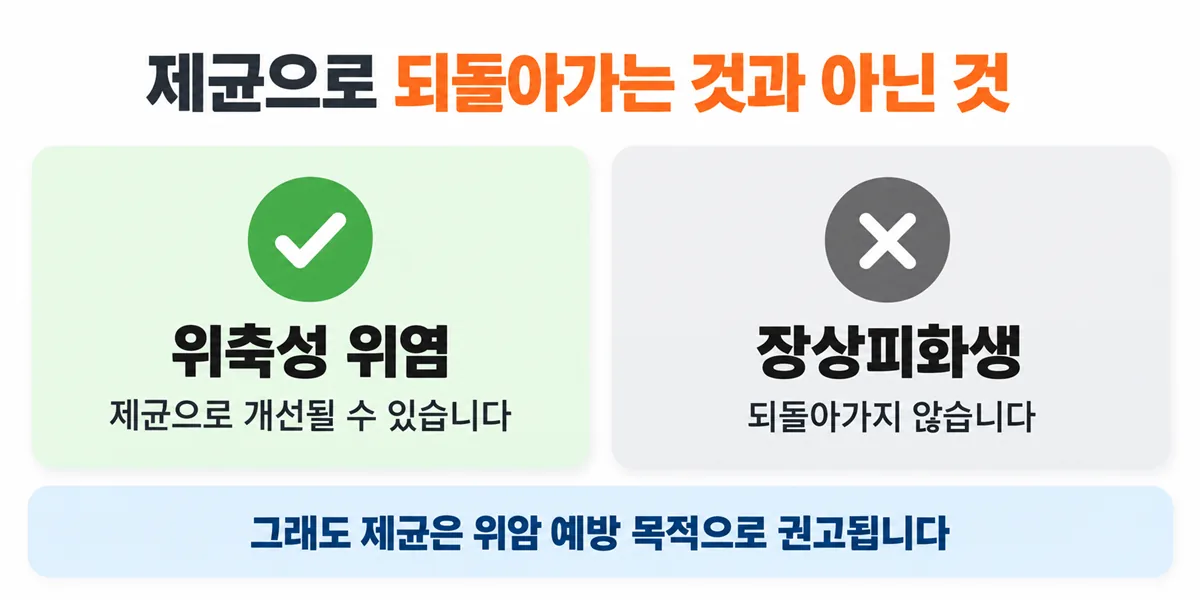 제균으로 위축성 위염은 개선될 수 있으나 장상피화생은 되돌아가지 않는다는 비교