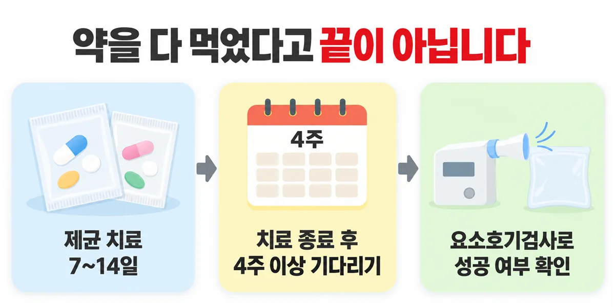 제균 치료 7~14일, 치료 종료 후 4주 이상 기다리기, 요소호기검사로 성공 여부 확인이라는 세 단계 흐름