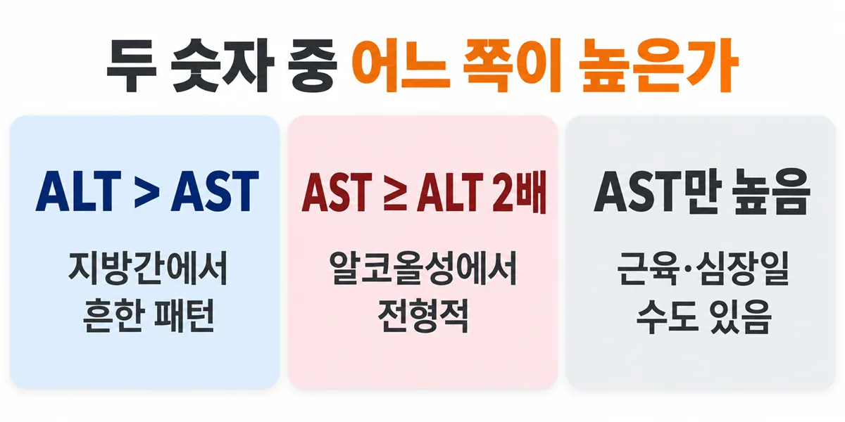 ALT가 AST보다 높으면 지방간 쪽, AST가 ALT의 두 배 이상이면 알코올성 쪽을 가리킨다는 비교 그림