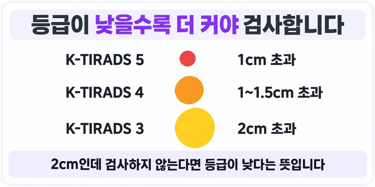 높은 의심은 1cm 초과, 중간 의심은 1~1.5cm 초과, 낮은 의심은 2cm 초과에서 세침검사를 권한다는 비교