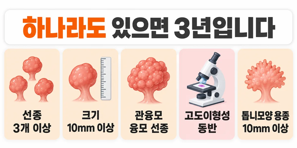 선종 3개 이상, 크기 10mm 이상, 관융모·융모 선종, 고도이형성 동반, 10mm 이상 톱니모양 용종의 다섯 가지 고위험 소견