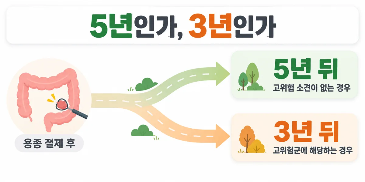 용종 절제 후 고위험 소견이 없으면 5년 뒤, 고위험군이면 3년 뒤 추적 내시경을 받는다는 갈림길