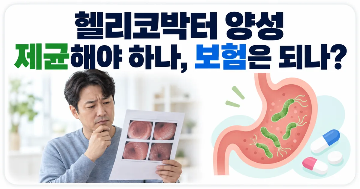 헬리코박터 양성일 때 제균 여부와 보험 적용을 묻는 안내 이미지
