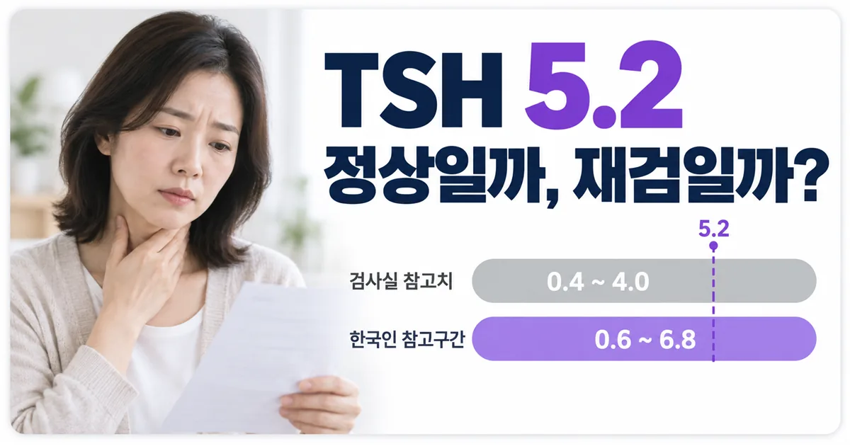 검사실 참고치 0.4~4.0과 한국인 참고구간 0.6~6.8을 막대로 비교하고 TSH 5.2가 어디에 놓이는지 보여주는 안내 이미지