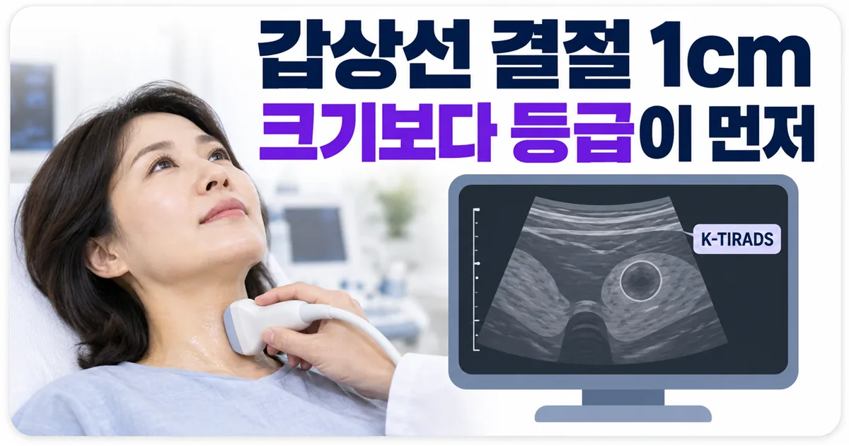 갑상선 결절은 크기보다 초음파 등급을 먼저 본다는 것을 보여주는 안내 이미지