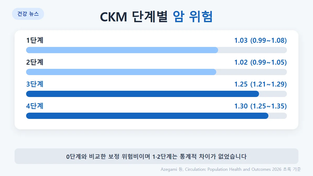 CKM 단계별 암 위험비(0단계 대비): 1단계 1.03, 2단계 1.02, 3단계 1.25, 4단계 1.30