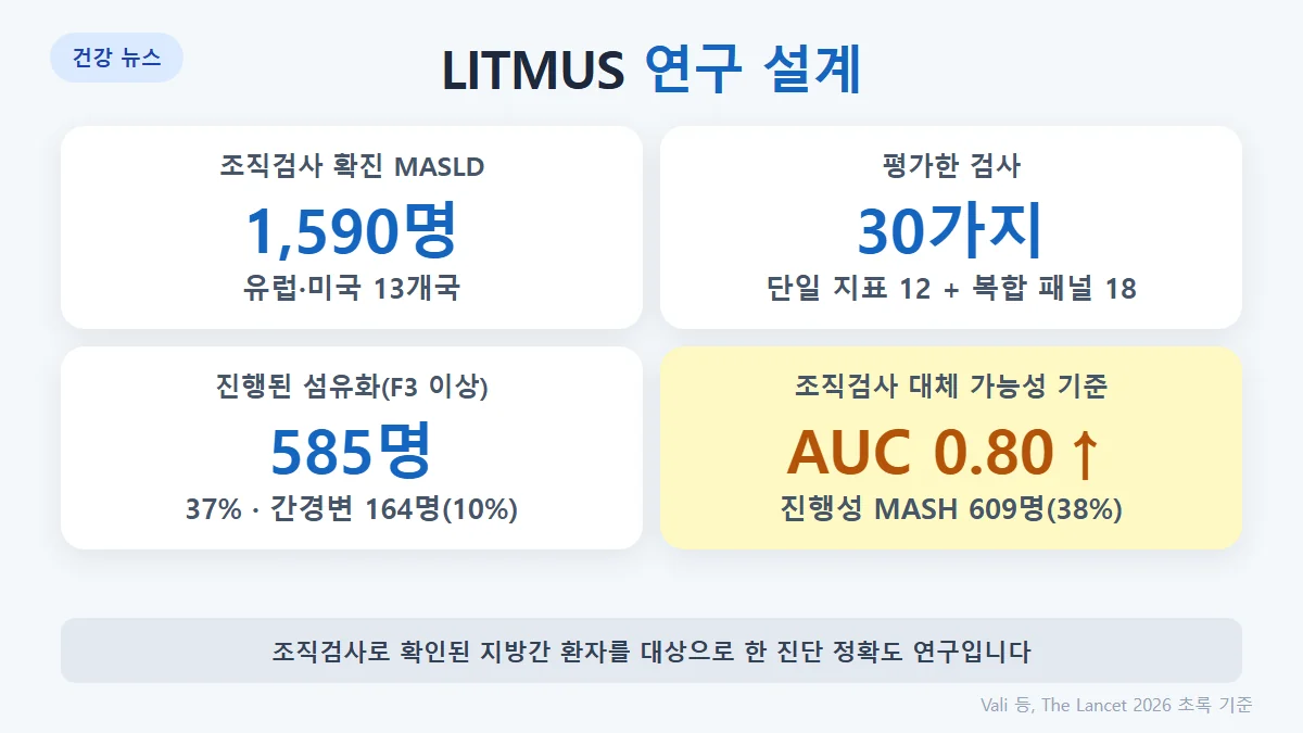 LITMUS 연구 설계: 13개국, 조직검사로 확진된 MASLD 1,590명, 단일 지표 12개·복합 패널 18개, 진행성 MASH 609명·진행된 섬유화 585명·간경변 164명