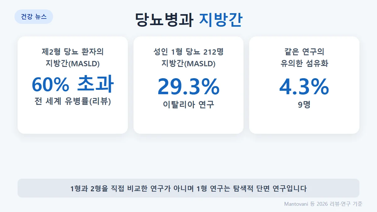 당뇨병과 지방간: 제2형 당뇨 환자의 MASLD 유병률은 60% 초과, 이탈리아 성인 1형 당뇨 212명 중 MASLD 29.3%, 유의한 섬유화 4.3%