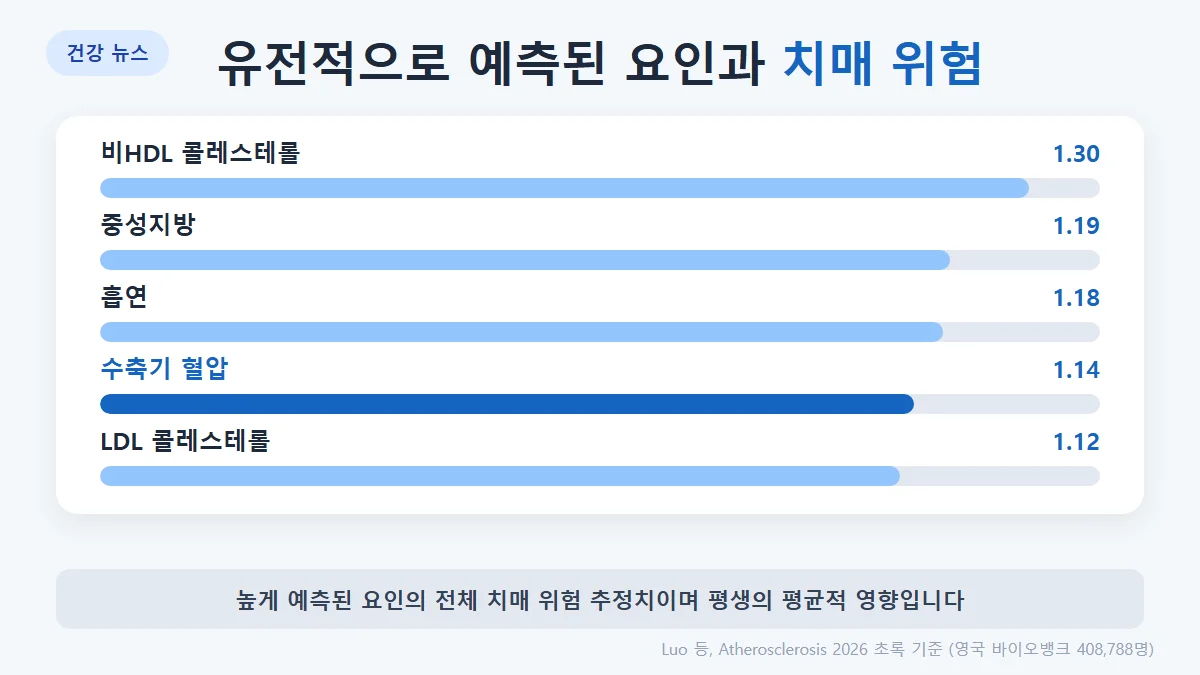 유전적 예측과 치매 위험 추정치: 비HDL 콜레스테롤 1.30, 수축기 혈압 1.14, 중성지방 1.19, 흡연 1.18, LDL 1.12, 이완기 혈압 1.10, 체질량지수 1.04, 2형 당뇨 1.04