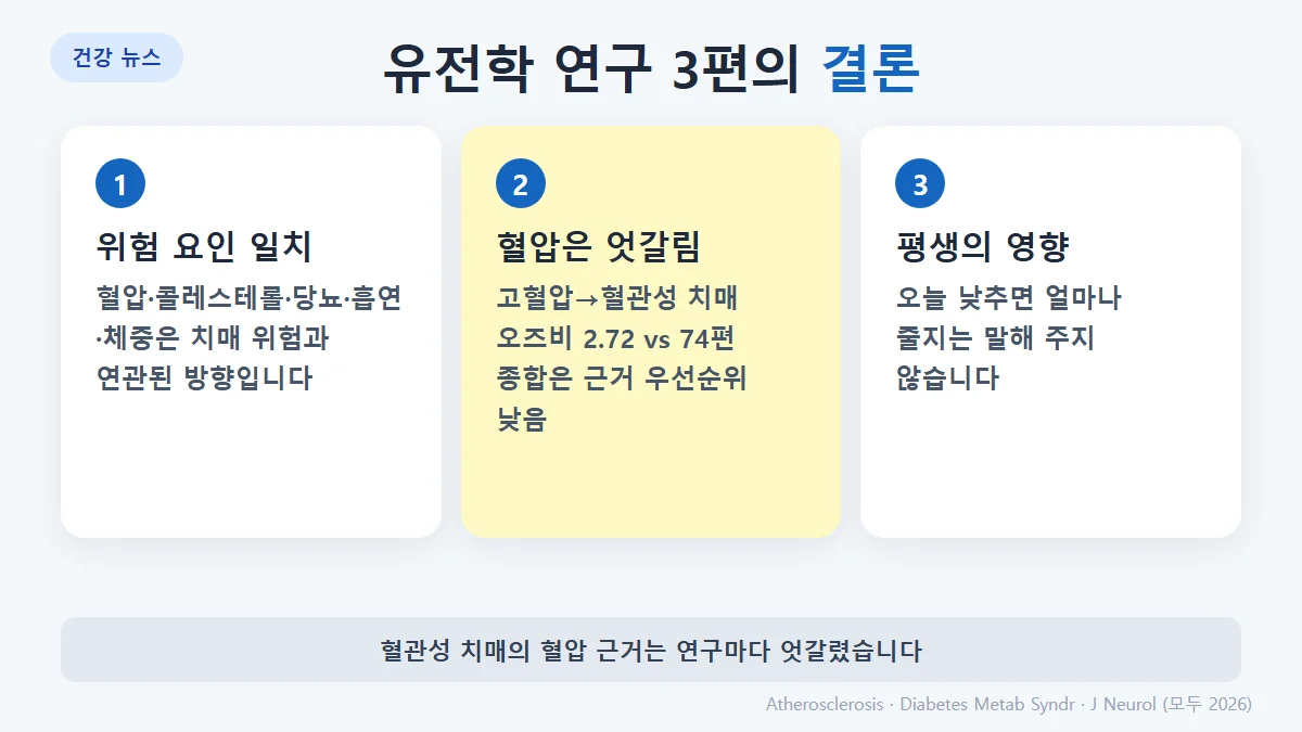 세 연구의 결론 요약: 혈관 위험 요인 치료·금연·체중 관리가 도움이 될 수 있다는 근거, 혈관성 치매의 혈압 근거는 연구마다 엇갈림