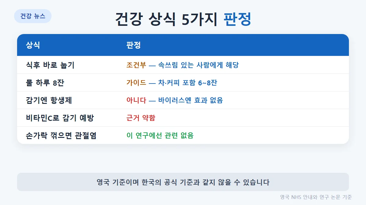 다섯 가지 건강 상식의 판정: 식후 눕기는 조건부, 물 8잔은 가이드, 감기 항생제는 아니다, 비타민C는 근거 부족, 손가락 꺾기는 관련 없음