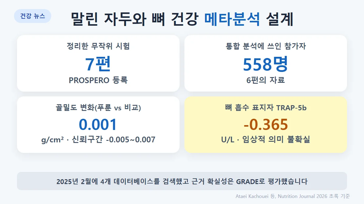 연구 설계: 무작위 시험 7편, 메타분석에 558명 포함, 골밀도와 뼈 표지자를 비교, 근거 확실성은 GRADE로 평가