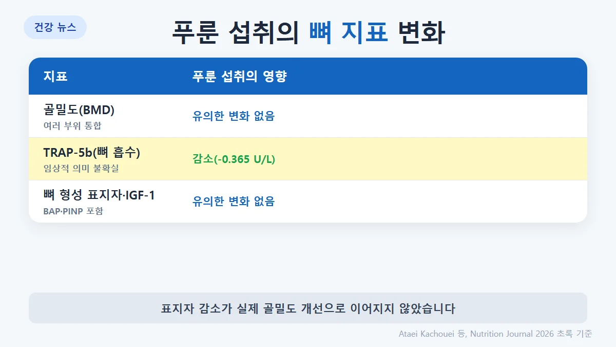 결과: 골밀도 변화 0.001 g/cm², 95% 신뢰구간 -0.005~0.007, 유의하지 않음. 뼈 흡수 표지자 TRAP-5b는 -0.365 U/L 감소했으나 임상적 의미 불확실