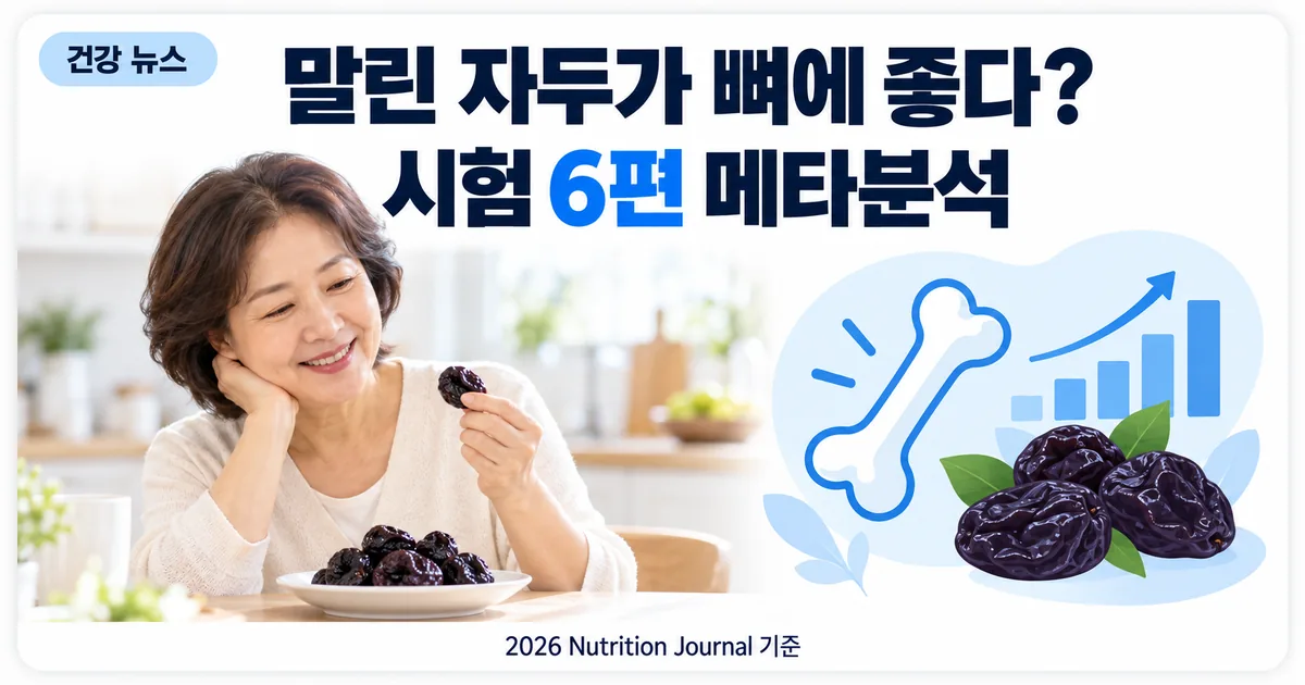 접시에 담긴 말린 자두를 보며 이야기하는 중년 여성과 뼈 아이콘, 골밀도 그래프